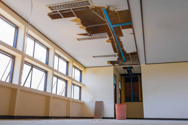 Best Flood damage cleanup  in Cornwall, PA