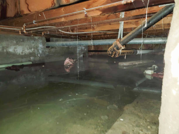 Best Emergency water damage restoration  in Cornwall, PA