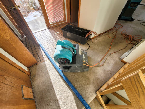 Water damage restoration mold remediation in Cornwall, PA
