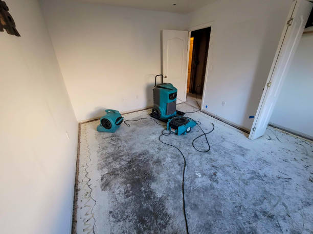 Best Residential water damage restoration  in Cornwall, PA