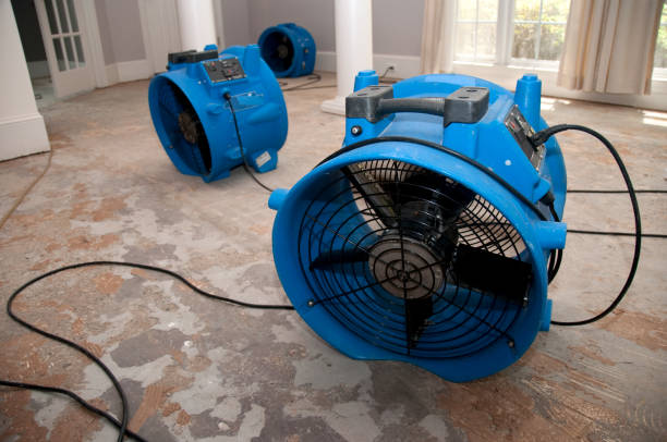 Best Water damage restoration near me  in Cornwall, PA