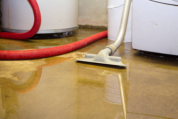 Best Fire Damage Restoration  in Cornwall, PA