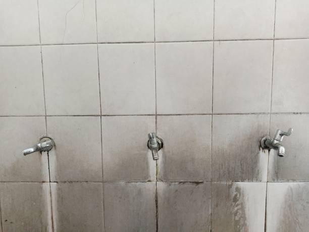 Best 24-hour water damage restoration  in Cornwall, PA