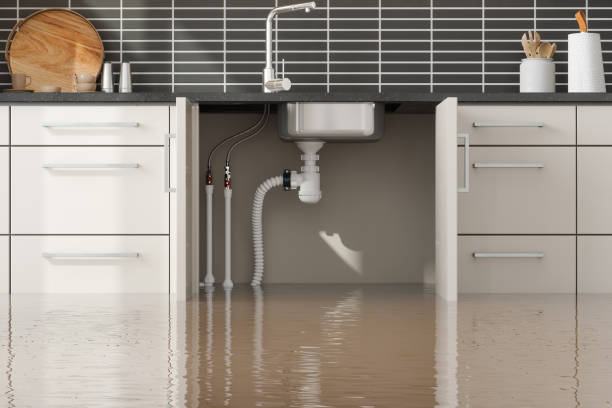 Best Flood damage cleanup  in Cornwall, PA