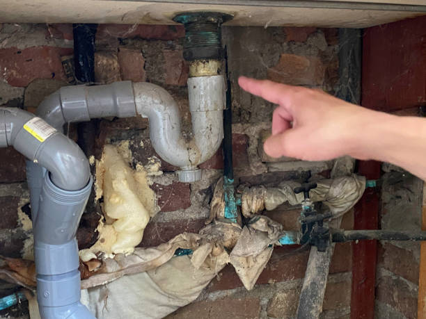Best Professional water damage repair  in Cornwall, PA