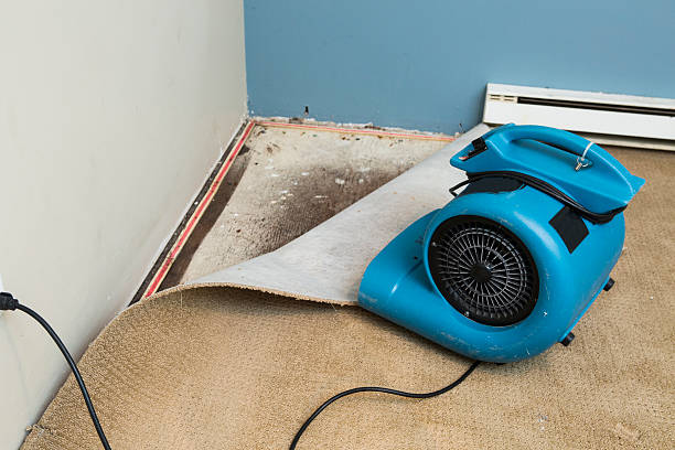 Best Water damage cleanup near me  in Cornwall, PA
